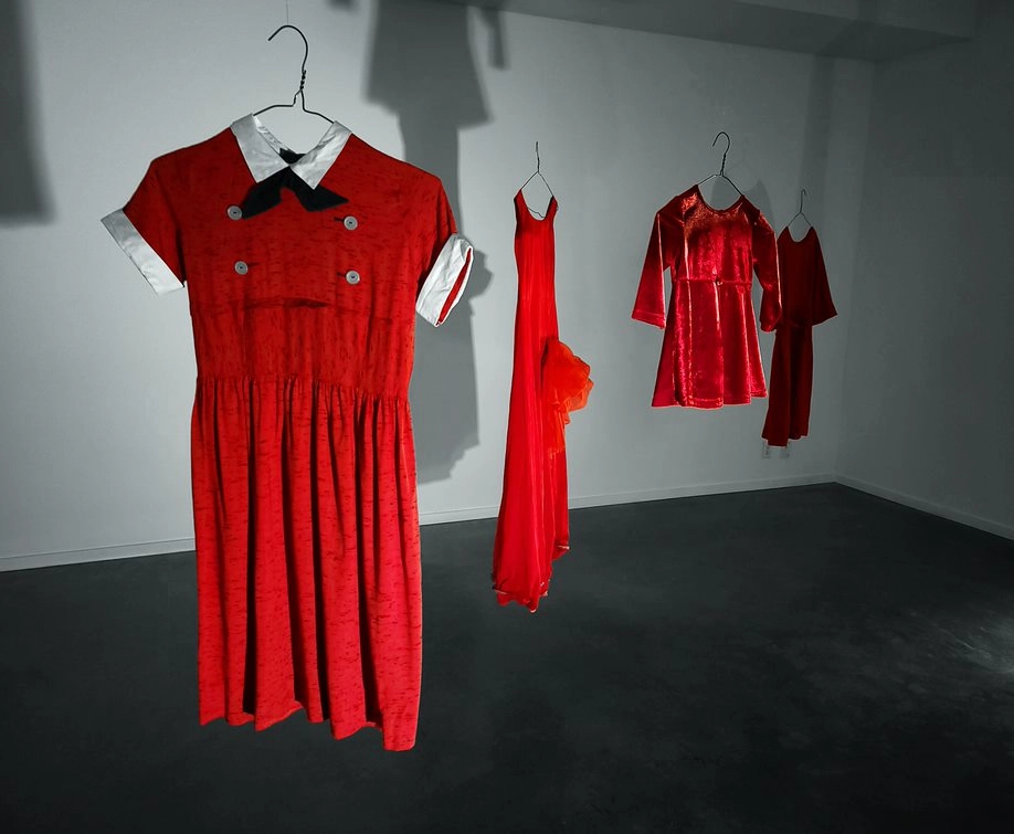 REDress intallation image gallery B